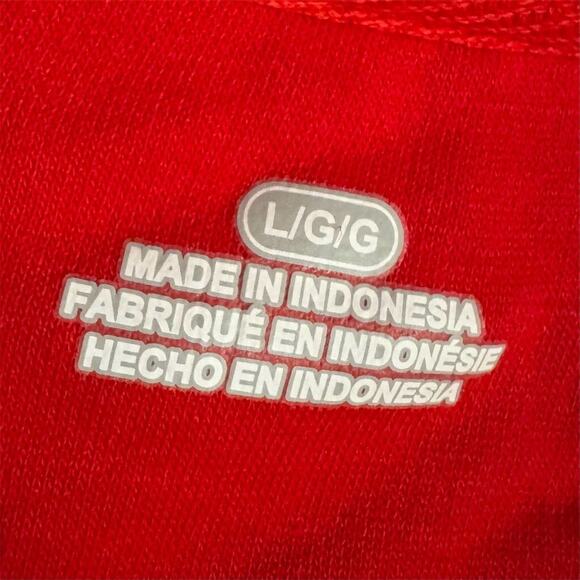 Fanatics Kansas City Chiefs Super Bowl LVIII Champions Hoodie L Red New w/o Tags - Picture 4 of 9